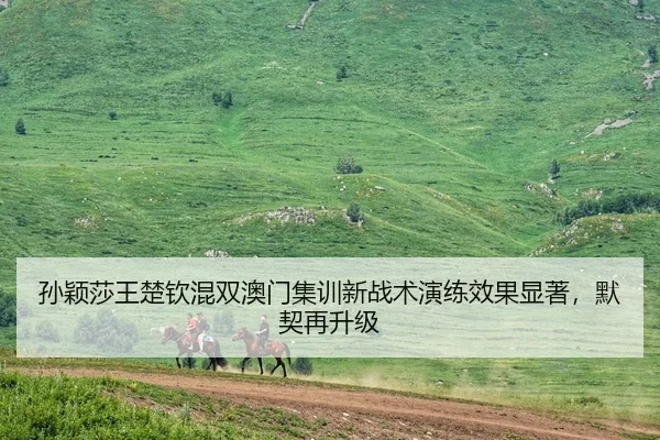 孙颖莎王楚钦混双澳门集训新战术演练效果显著，默契再升级
