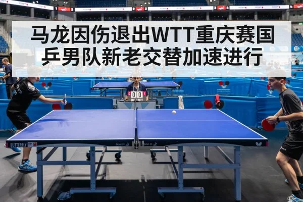 table tennis competition